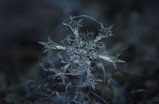 snowflakes 1